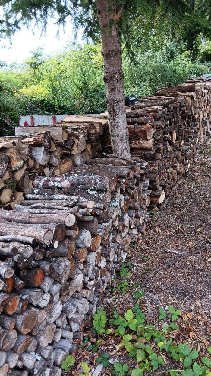 BOIS DE CHAUFFAGE EN STERE DE 60€