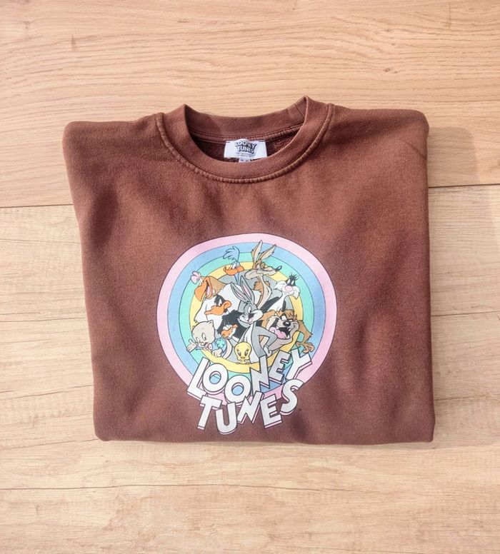 Pull Looney Tunes Marron XS