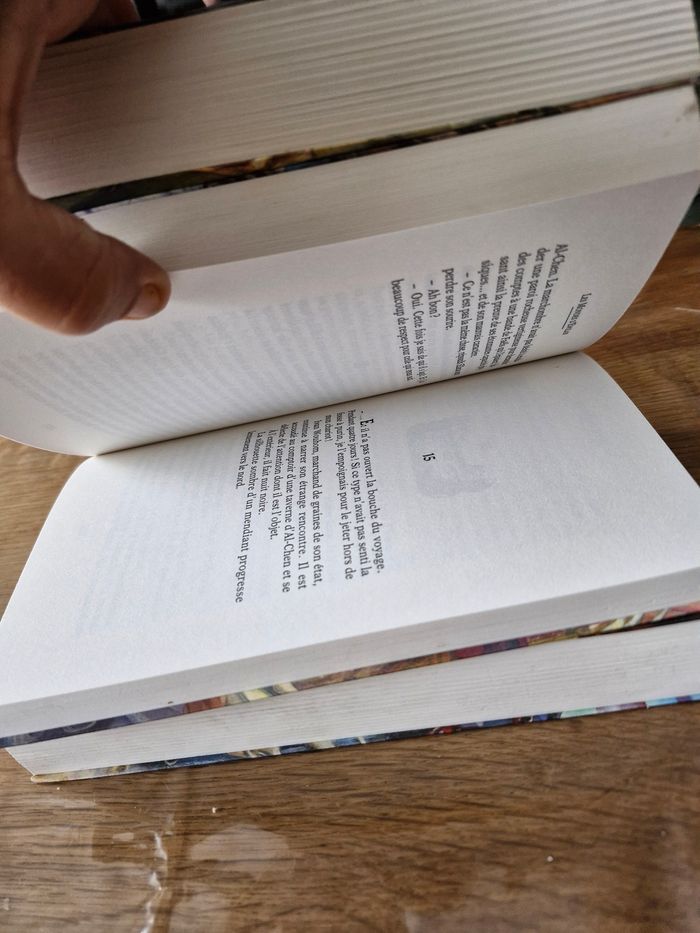 Intégrale Saga Ewilan en 6 tomes - photo numéro 7