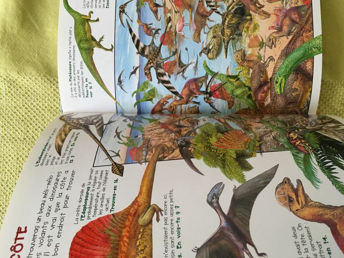 Livre Observe les dinosaures et trouve l'intrus - photo numéro 4