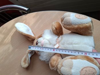 Peluche lapin 