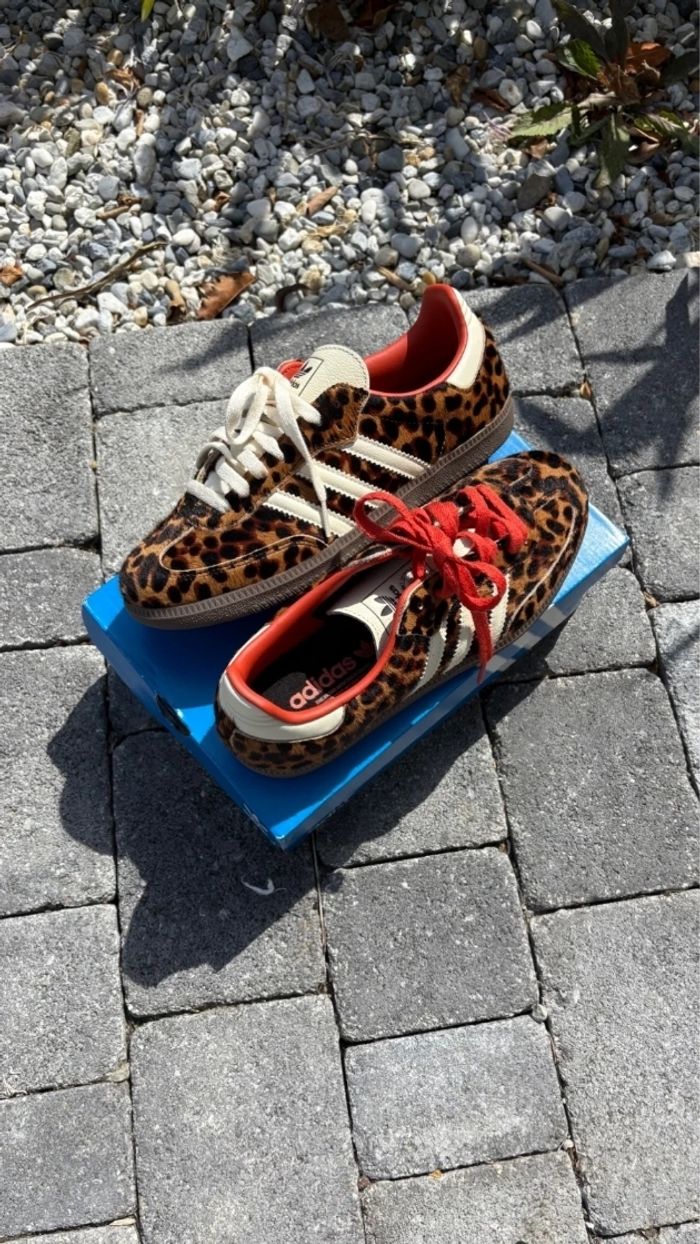 Adidas Samba OG léopard Rouge  Taille 39