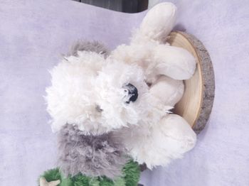 Peluche Jellycat chien de berger very cute Floofie Sheepdog pet