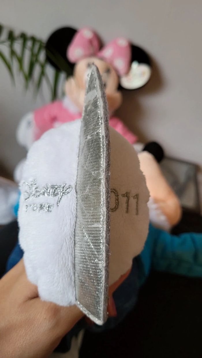 Mickey et Minnie 2011 - photo numéro 9