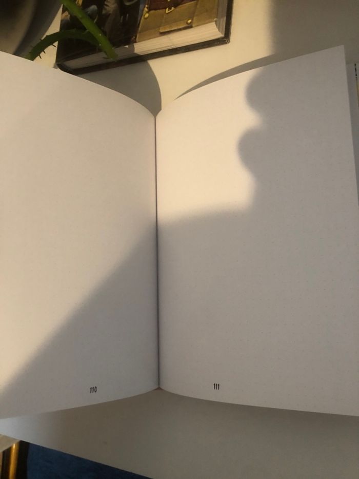Léa Choue présente Dear me - Mon journal à remplir - photo numéro 4