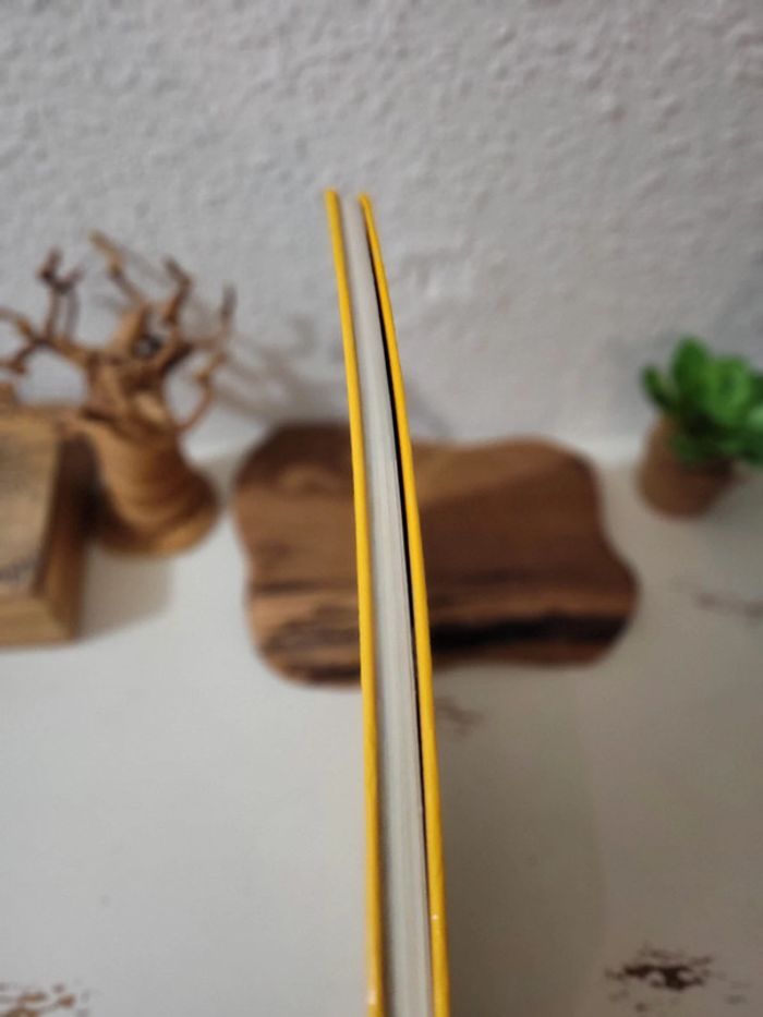 Grand Livre "Martine et la fête" 4 récits de Gilbert Delahaye - photo numéro 5