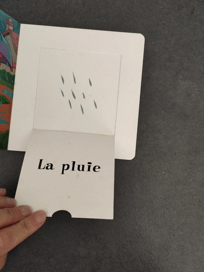 Livre découvre le temps qu'il fait avec T'choupi - photo numéro 3