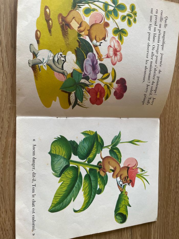 Tom et Jerry - photo numéro 3