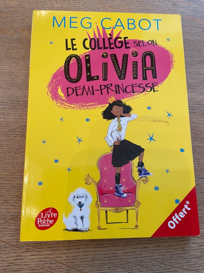 Lot de romans et guides pour l’entrée en 6e - photo numéro 14