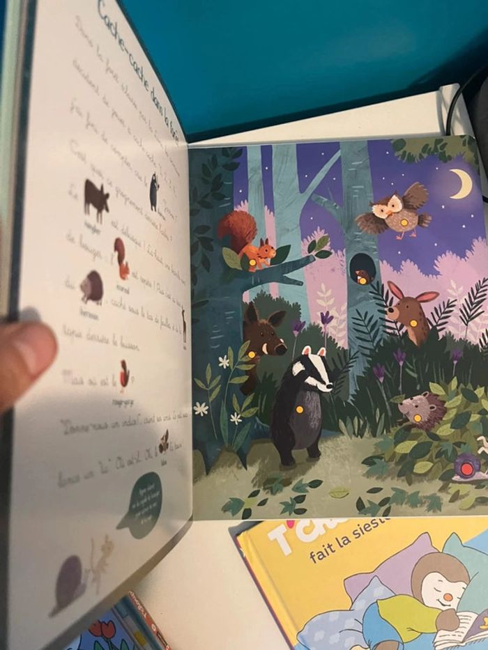 Livre sonore les premières lectures à deux voix histoire du soir - photo numéro 4