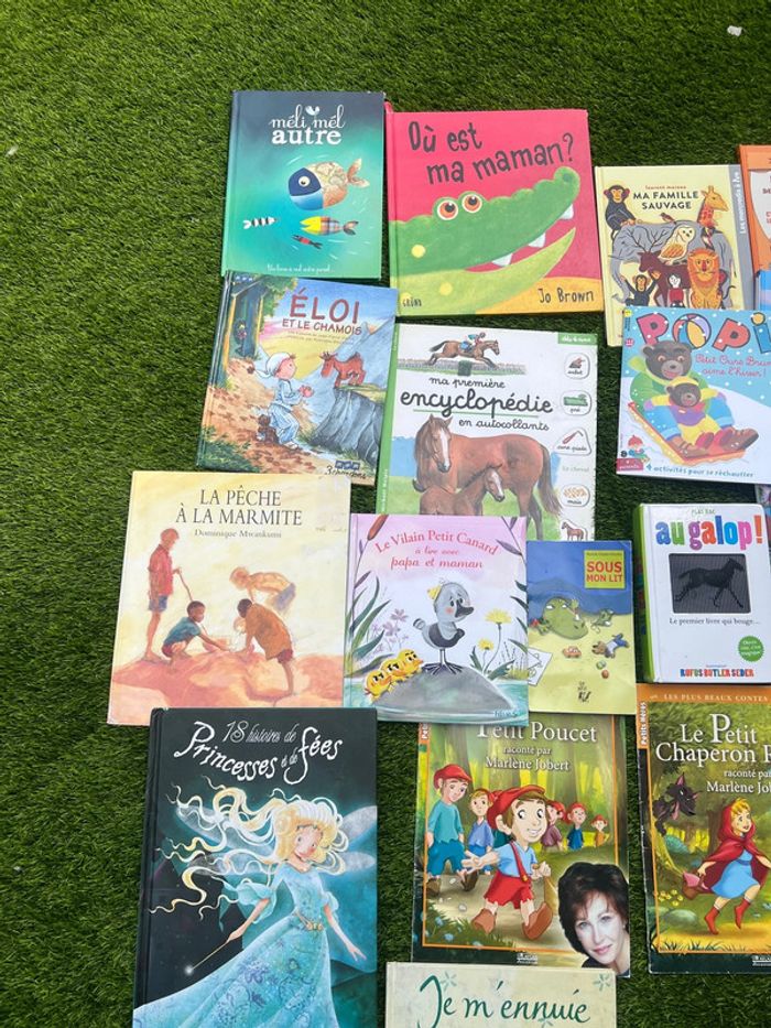 Gros lot de livres divers ( pas de vinted go ) - photo numéro 4