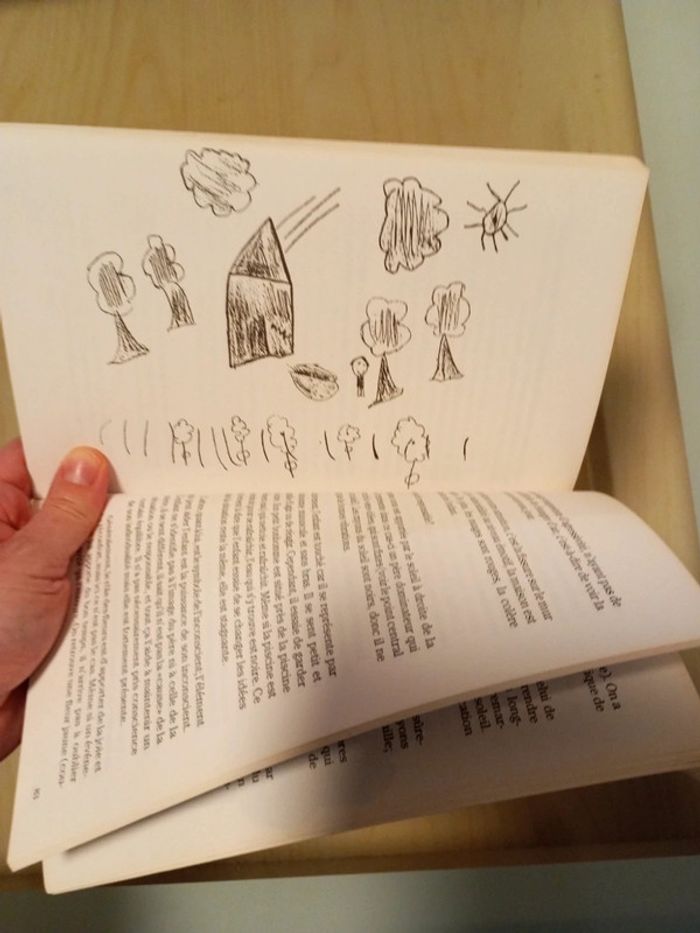 Livres comment interpréter les dessins d'enfants/ Les dessins d'enfants vous parlent Bon état - photo numéro 3