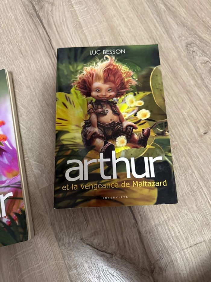 Lot des 3 tommes de Luc besson Arthur - photo numéro 4