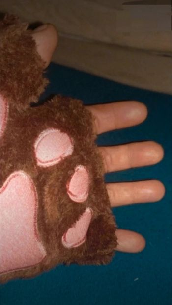 Gants mitaines pattes de chat chien ours
