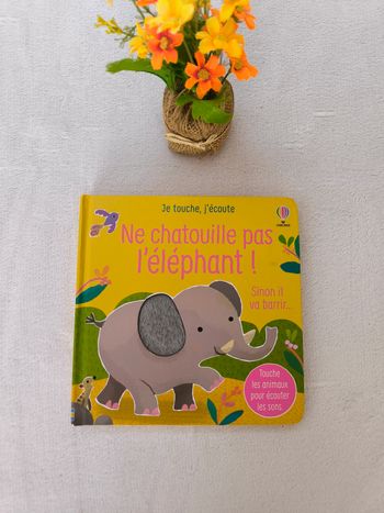 Livre Ne chatouille pas l'éléphant Usborne
