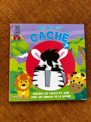 Mais qui est caché ?