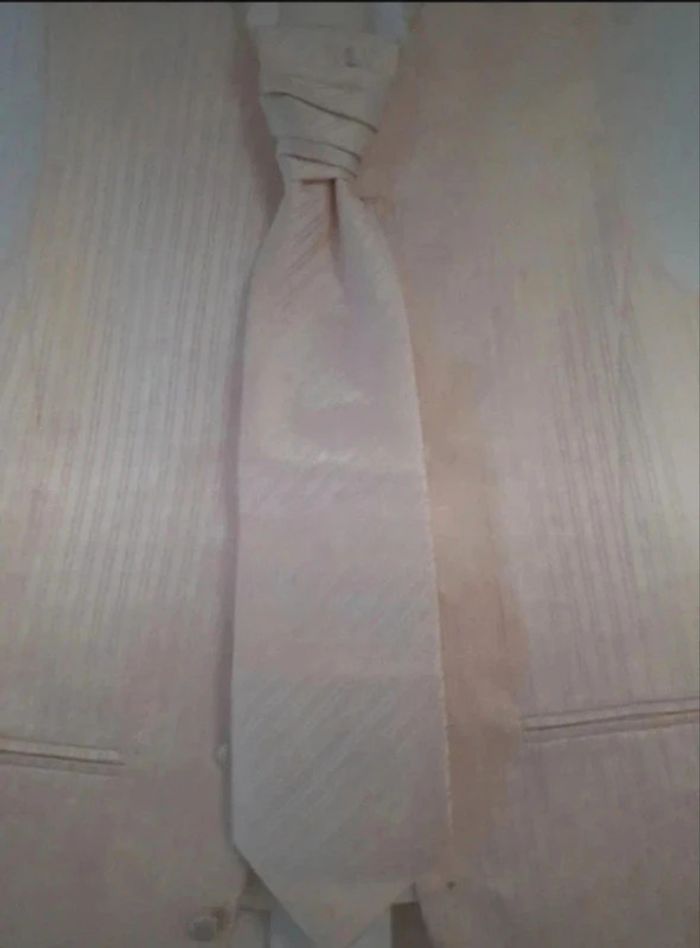Gilet costume - photo numéro 2