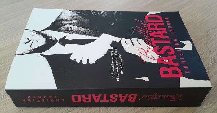 beautiful bastard - christina laureen - photo numéro 2