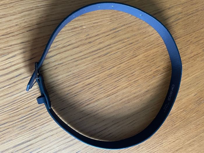 Ceinture dinosaures - photo numéro 2