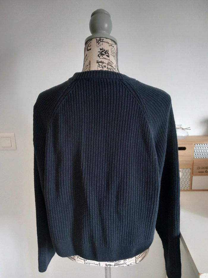 Pull mango - photo numéro 2