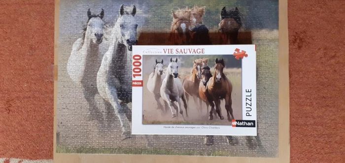 🐴Puzzle chevaux 1000 pièces