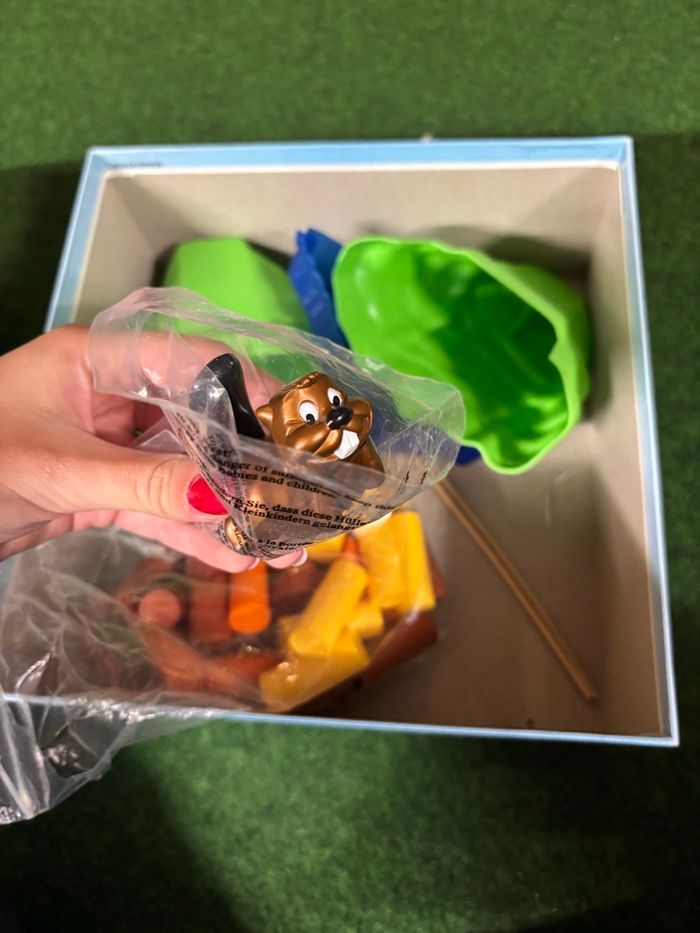 Cata castors - photo numéro 4