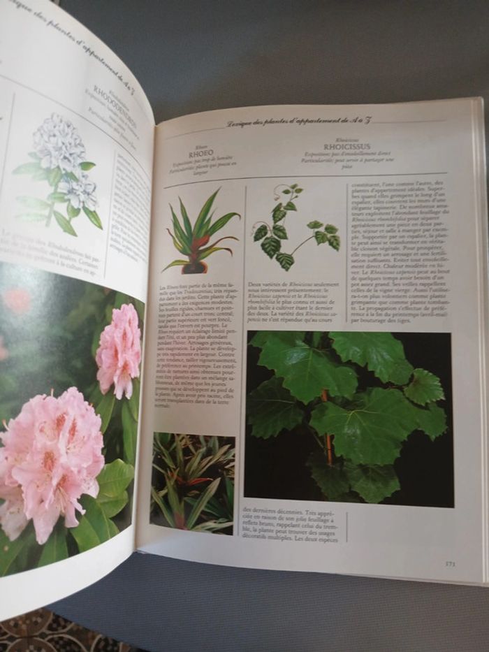 🍍 Livre Les plantes d intérieur - photo numéro 3