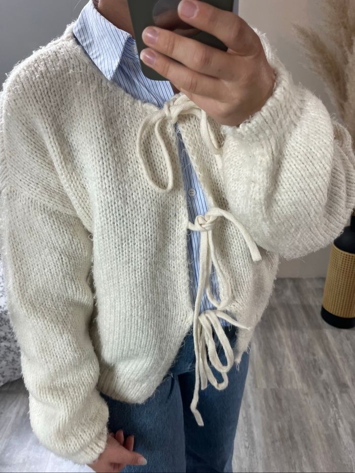 Pull nœud chaud – BizzBee