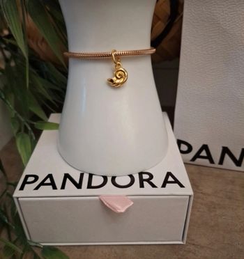 Charm coquillage de la petite sirène 