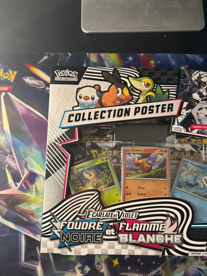 Coffret collection poster - Foudre noire et Flamme blanche - photo numéro 6