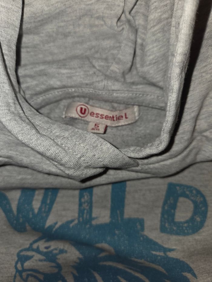 Lot pull - photo numéro 5