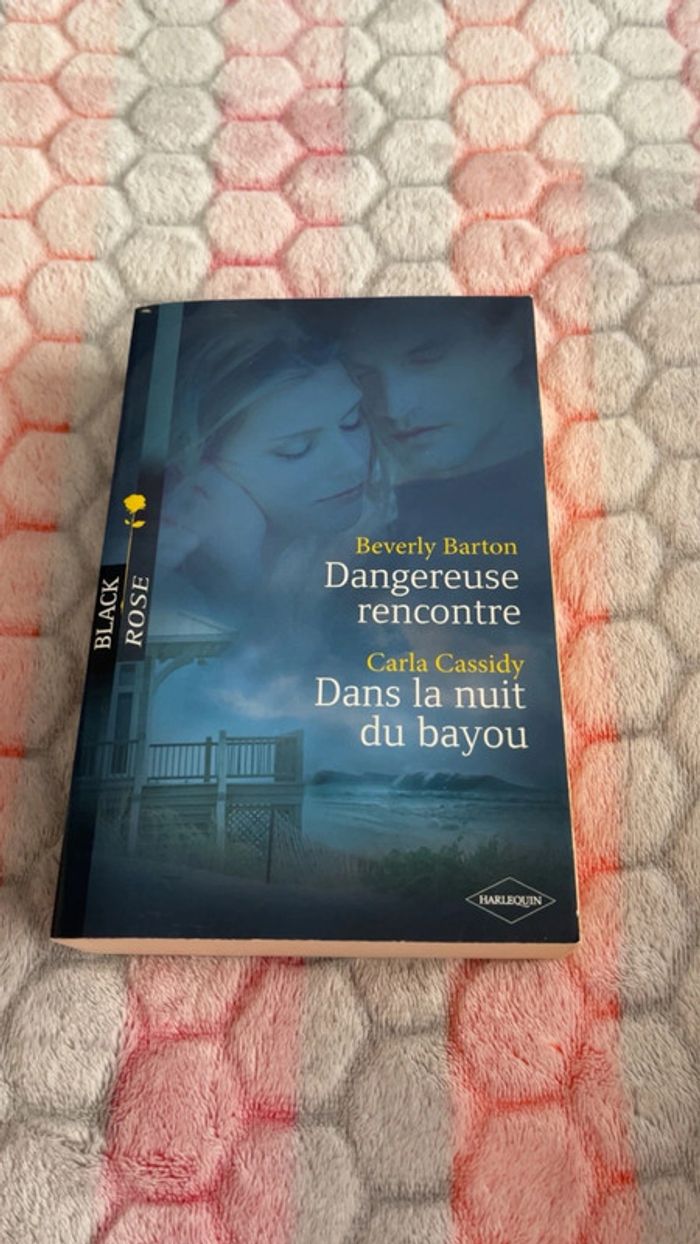 Dangereuse rencontre et dans la nuit du bayou