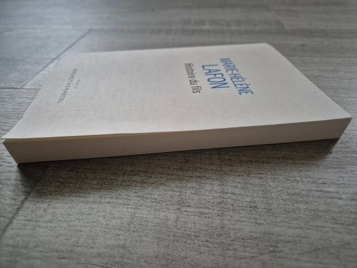 Livre Histoire du fils de Marie-Hélène Lafon - photo numéro 7