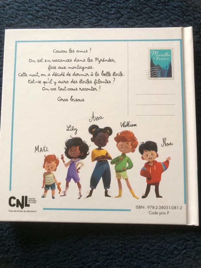 Livre enfant le pic du midi - photo numéro 2