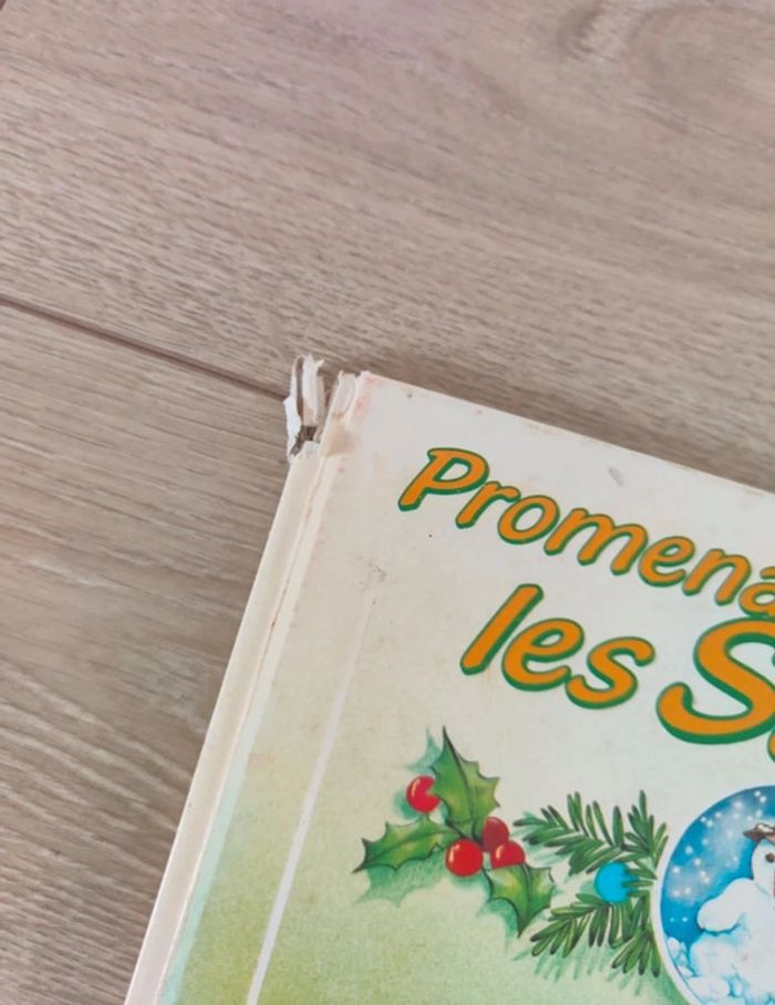 Livre (promenade à travers les saisons) - photo numéro 4