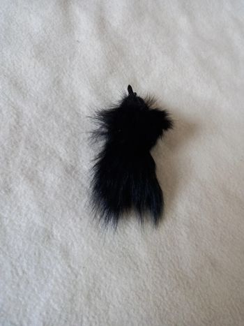 Broche à poils noires