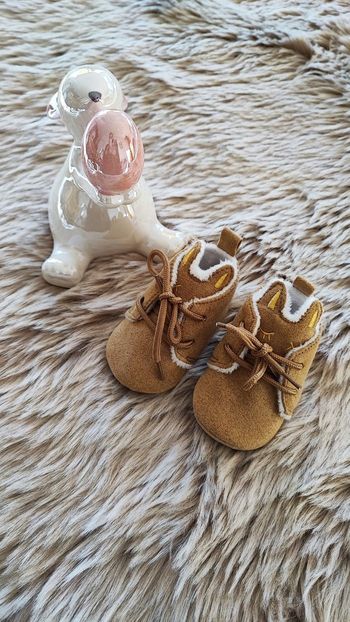 Chaussures chat in extenso taille 16