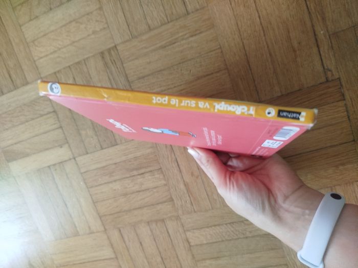 Livre T'choupi va sur le pot - photo numéro 3