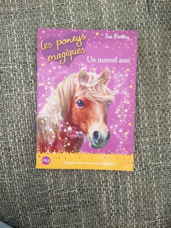 Livre les pontes magiques un nou elle ami