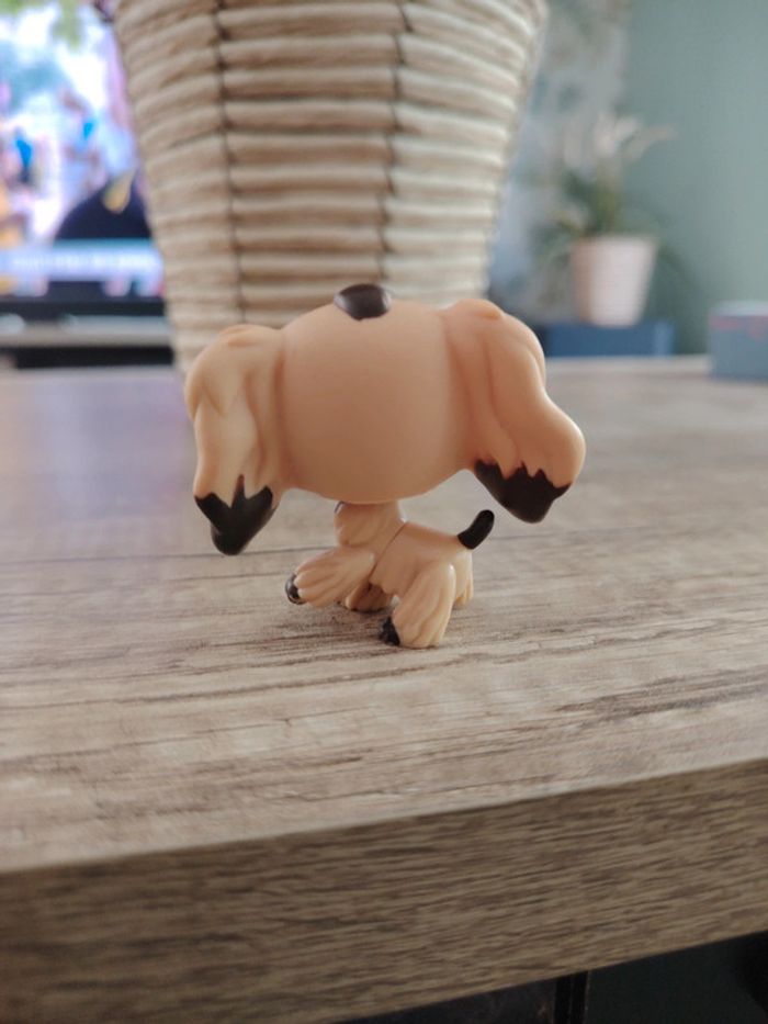 Figurine Petshop Littlest Petshop chien colley #575 tbe - photo numéro 2