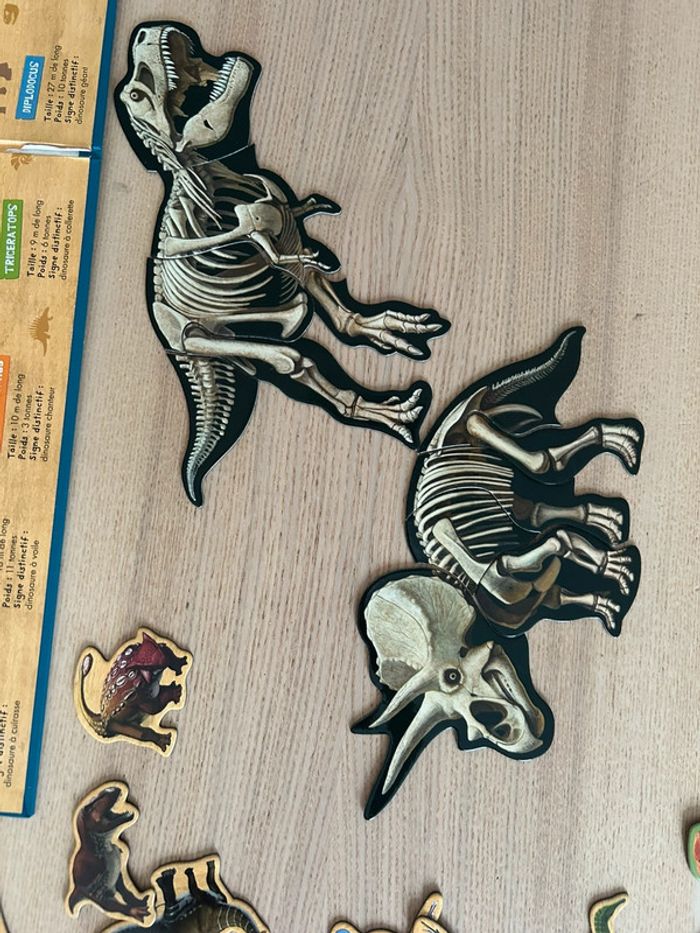 À la découverte des dinosaures - photo numéro 4