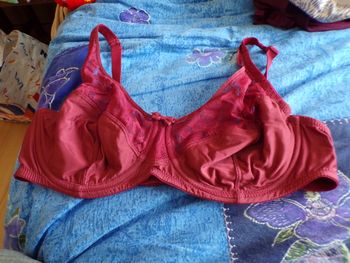 Soutien gorge bordeaux 100C
