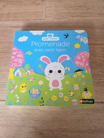 Livre neuf Promenade avec petit lapin
