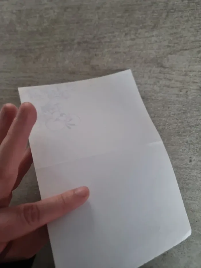 Lot de 12 feuille A5 Diddl - photo numéro 7