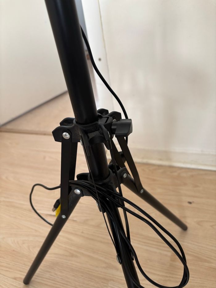 Ring Light (Anneaux lumineux) - photo numéro 2