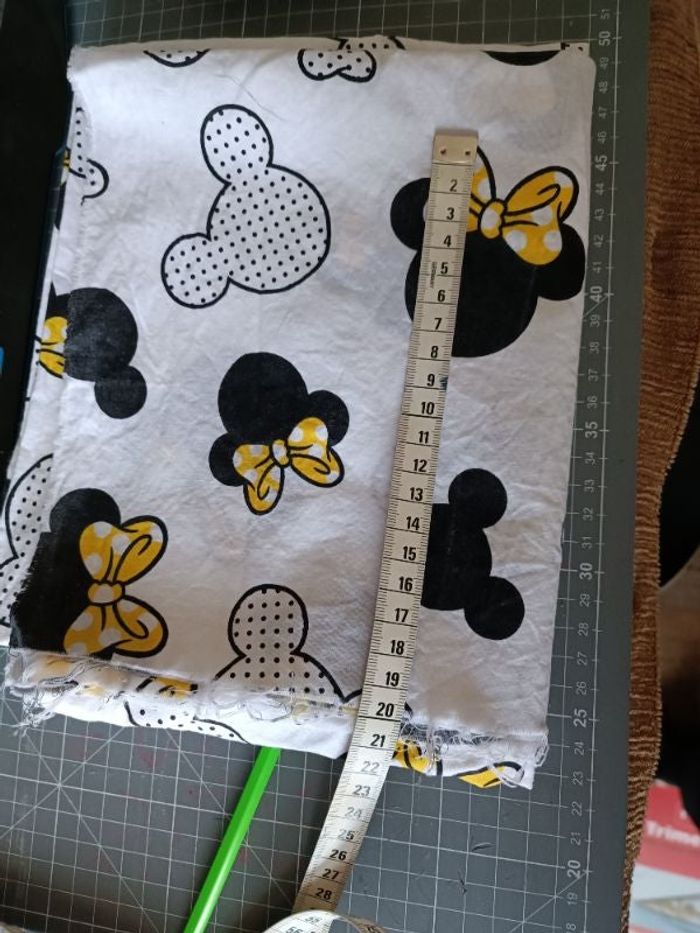 Coupon Tête Minnie