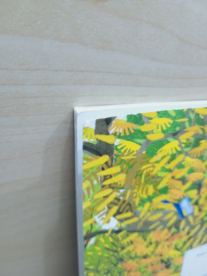 🌺 Livre (école des loisirs) : Le grand ménage - photo numéro 8