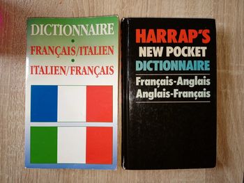 2 vieux dictionnaires de traduction