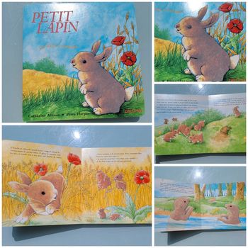 Joli livre à caresser, Petit Lapin 🐇, un livre tout doux (31)