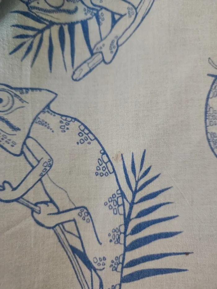 Short - photo numéro 6